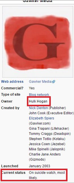 Hulk Hogan Awarded $115 Million in Gawker Case Tumblr_o49db2rDdr1tnnsh9o1_500