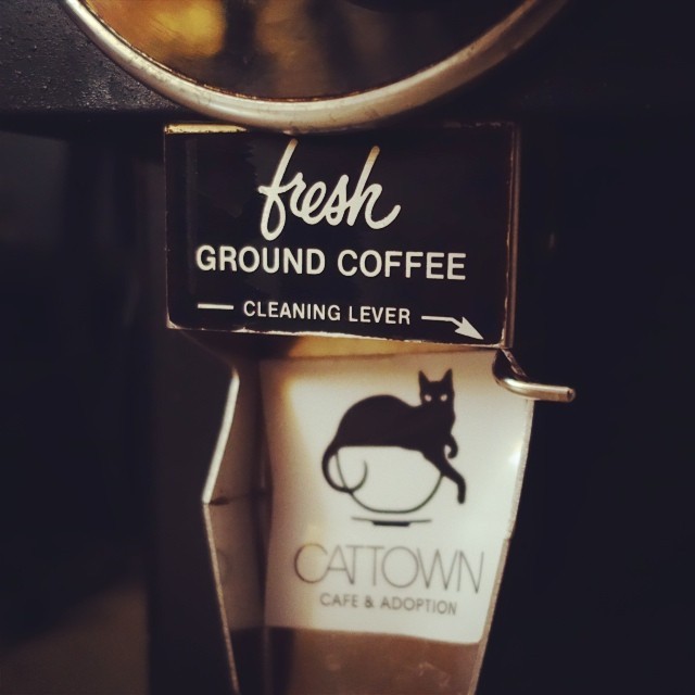 Cat Town Cafe : Picked up our coffee grinder today!