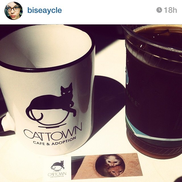 Big thanks to everyone who stopped by Bicycle Coffee this weekend to pick up rewards! We&rsquo;ll be hosting more events events soon, so stay tuned &gt;^. .^&lt; #regram via CTC supporter @biseaycle