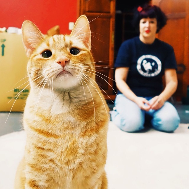 #Regram from @hoodcats of Cat Town foster Daria K. and one of her cats Jarvis P. Weasley. We’re sad that they’ll be moving to Texas at the end of the month, but excited for them too!