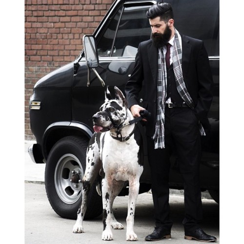 beecuzthenight:What is it about a bearded man in a suit that just sends me? 