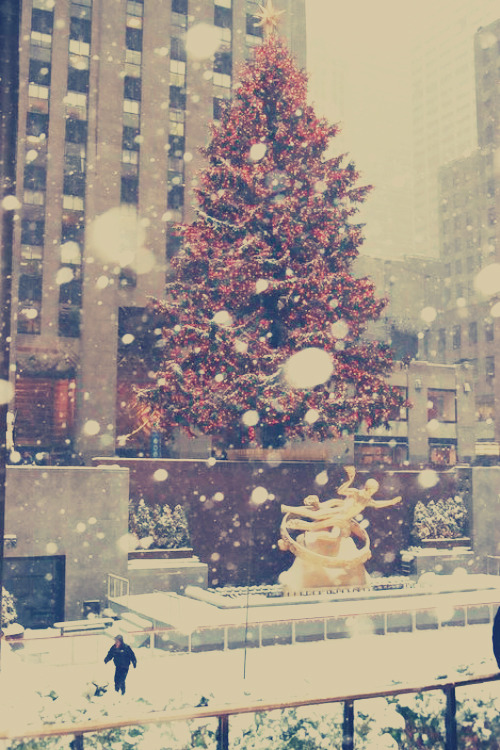 Snowy Christmas Tree Tumblr