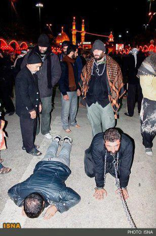 vanoos:

One of many Shia satanic rituals…Here we see one of them chained around the neck and crawling, loool…..what is this cult? Sounds like a perverted sexual fetish  chains around their necks, getting whipped, their so called mahdi dajaal is handcuffed in some cellar, Mutaa is is permissible, they have fatwas to allow you to change genders even mutaa with animals aslong as you dont eat from its meat! ….DISGUSTING VILE SATANIC SAVAGES!!!!!!!