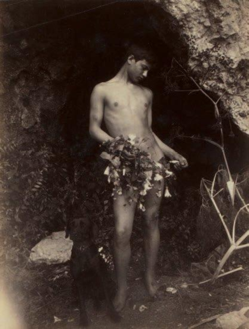 Young man with flowers, dated very precisely to the 9th June 1900, a truly lovely photograph by Wilhelm von Gloeden. Though the handsome model and his tangled handful of wild flower tendrils are the deserving focus of the piece, do take a moment to look closer and meet von Gloeden’s dear black dog, Nedda - she makes several appearances in his work, affectionately snuggling up to models, or almost vanishing in the dark tones of the foreground.