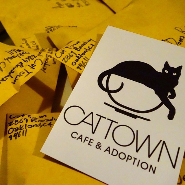 Getting caught up on shipping ‘Coffee Cat’ shirts this evening and realized I could use the cafe address for the return shipping! Get your own ‘Coffee Cat’ shirt at www.hoodcats.bigcartel.com or when we open at 2869 Broadway later next month &gt;^. .^&lt;