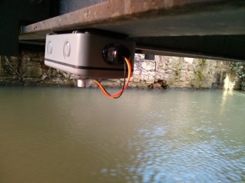 First Sensor. Location: Wareham Stream, Oxford