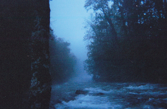 winterfellis:

Morning Mystic by E||iot Michael Fairhurst on Flickr.
