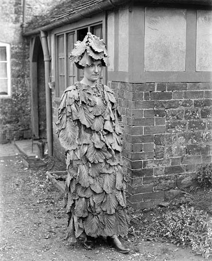 cabbage costume victorian vintage halloween