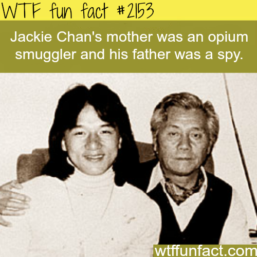 Did you KNOW?! - (and other useless facts!) - Page 2 Tumblr_mz80nhMWwd1t8998yo1_500