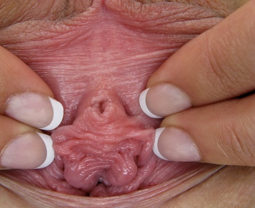 Pee hole close up pussy