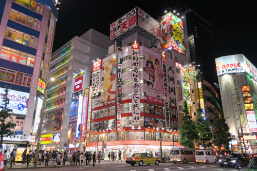 Si fueras a Japón ¿que lugares visitarías? Tumblr_ns2mel5xWq1rcvlc8o1_500