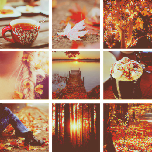 autumn collage  Tumblr