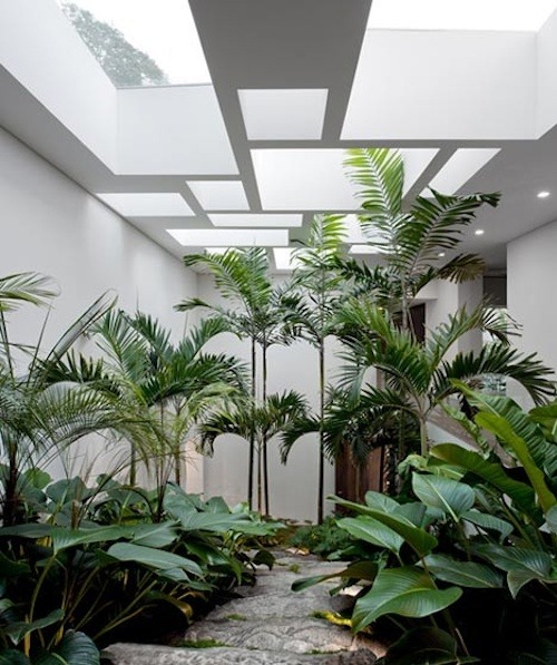 palm garden house | Tumblr