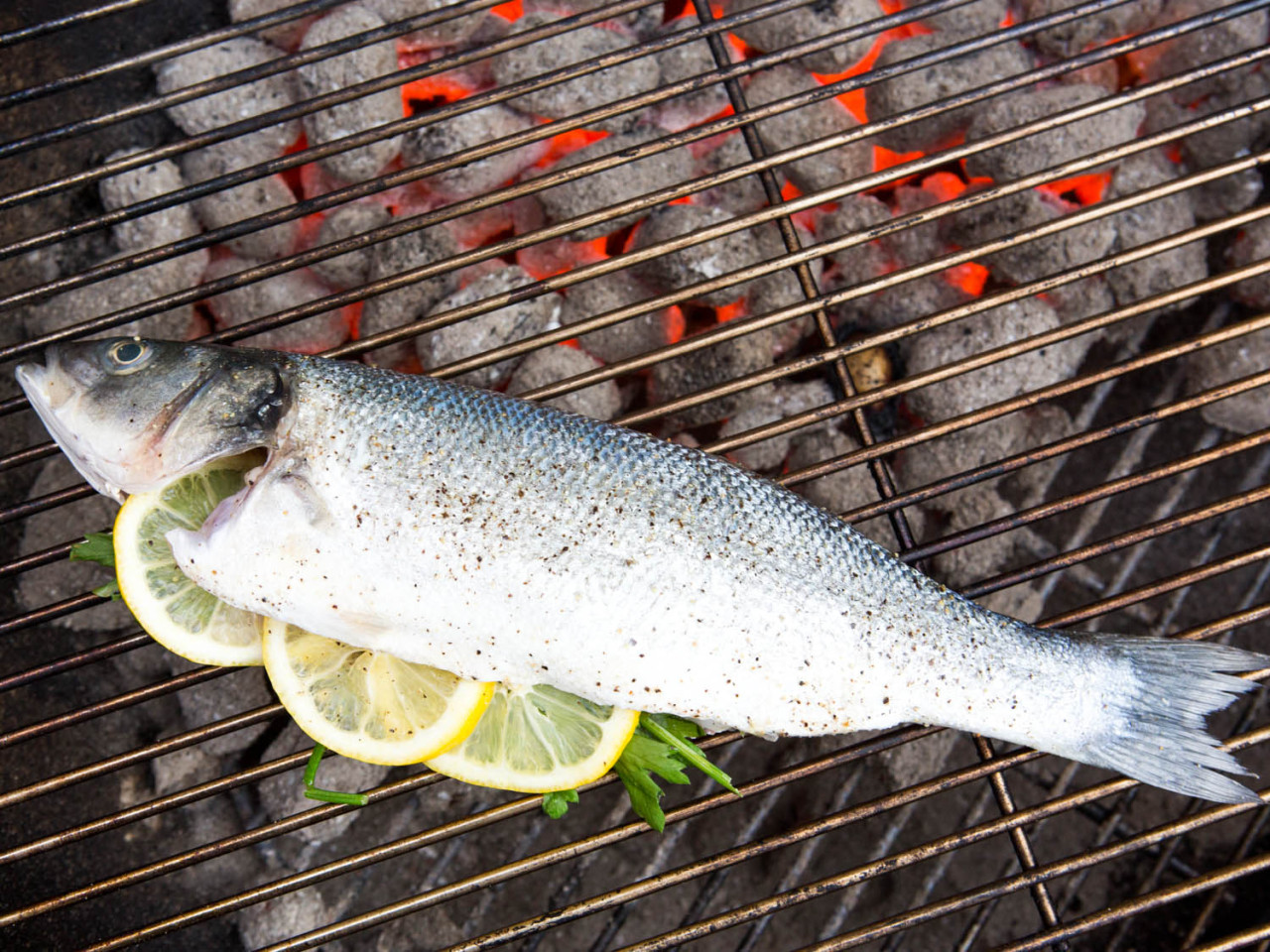 En çok bilinen balık pişirme yöntemlerine göz atın.