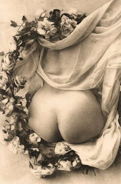 amongthegentlymad: Alexandre Dupouy Collection, circa 1910 I must admit that is the most elegantly framed butt I’ve ever seen… 