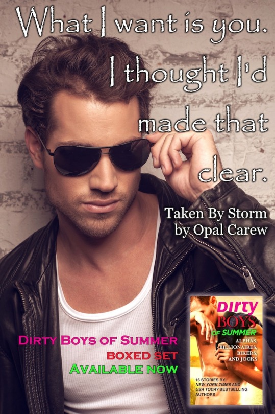 Dirty Boys Of Summer Graphic 2