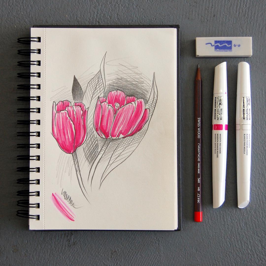 msfawne: Sketching flowers with my September #artsnacks supplies. I don’t work with markers often, so this was interesting. #artsnackschallenge #sketching #sketchbook #flowerart #tulips #instart #artoftheday #artistsofinstagram #artistsoninstagram #windsorandnewton ArtSnacks is like a magazine subscription but instead of a magazine you get a curated box of 4 or 5 different art products.Every month they challenge you to create a piece of art using only the supplies that came in the box.Learn more about ArtSnacks here.