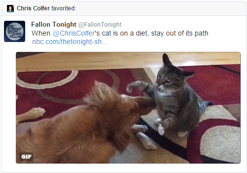 Chris Colfer Tweets - Page 24 Tumblr_nqk6w1myUU1u88r6co2_r1_500