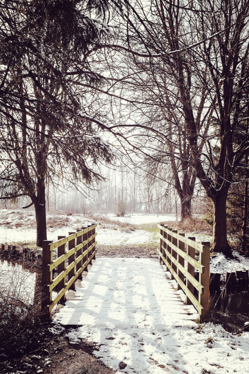 Un pont en hiver. by Denis SCAILLIEREZ