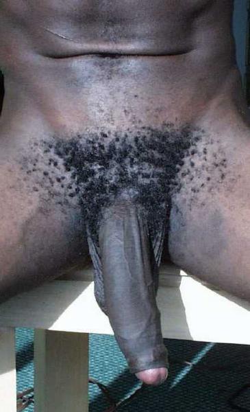 Black dick too big for pussy