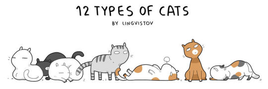 Kind of different types of cats