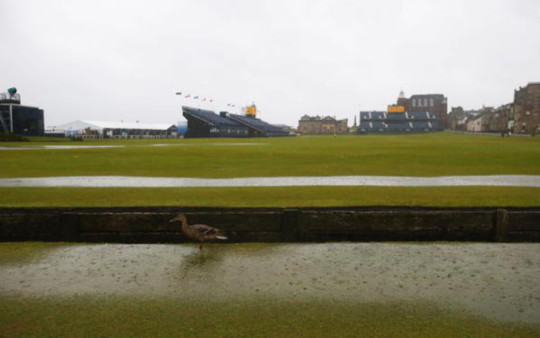 The British Open is in a rain delay, to the delight of the ducks. (Twitter/@TheOpen)