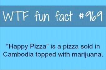 Did you KNOW?! - (and other useless facts!) - Page 2 Tumblr_mgshl2Fay41rkx6kdo1_400