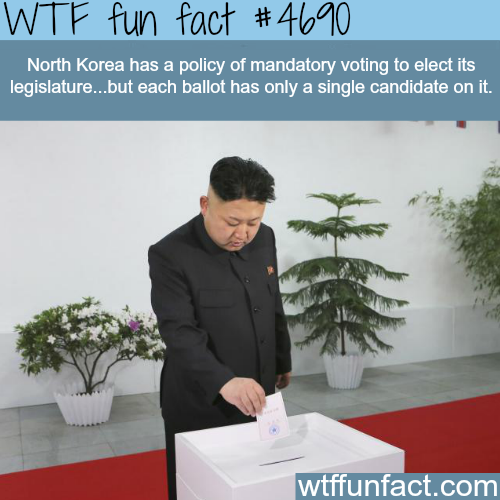 Did you KNOW?! - (and other useless facts!) - Page 2 Tumblr_nvywi6RoKQ1roqv59o1_500