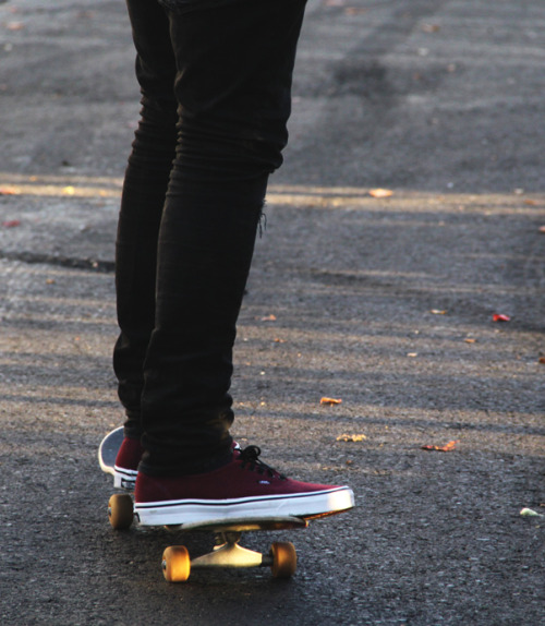 skate skateboarding vans photography 