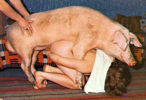 Dog woman having sex with animal