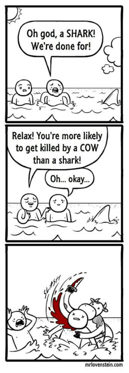 shark/cow