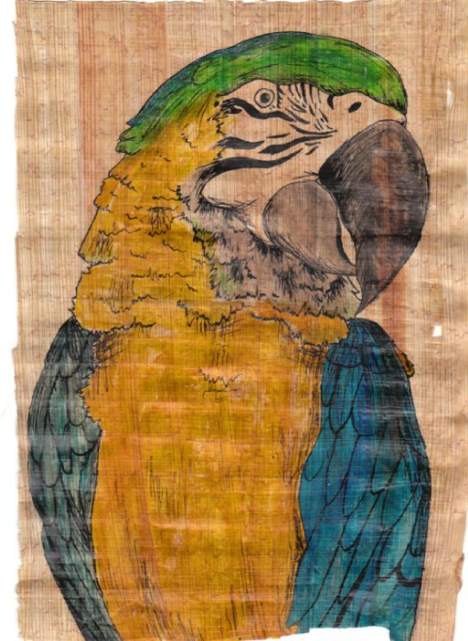 Polly Papyrus | Ink on Papyrus | 2008 by Alyssa Beech alymarbee.tumblr.com