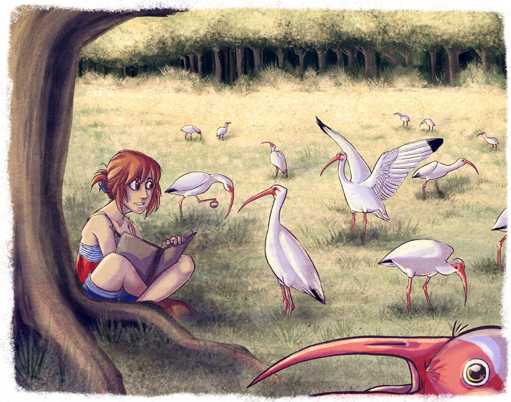 A flock of white ibises invaded my yard one day! :) Click for more if you like! :D