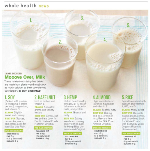 “Vegan Milk Alternatives