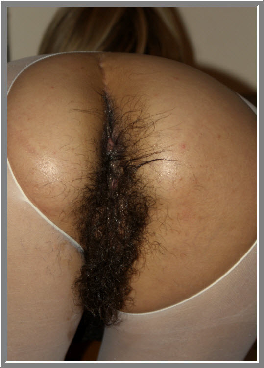 Perfect hairy pussy and ass