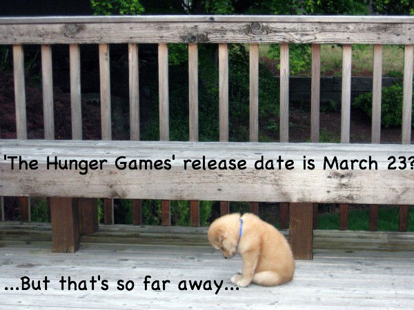 The Hunger Games release date&hellip;