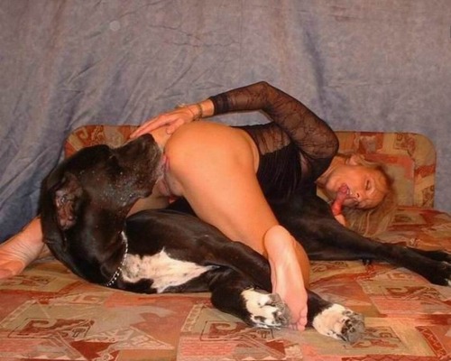 Man and woman sex with dogs