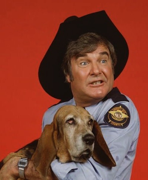 Sheriff Rosco P. Coltrane and Flash