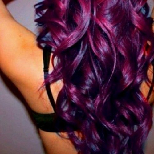 Black And Purple Hair Pinterest