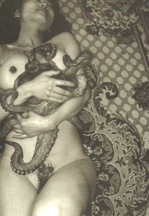 Octopus pussy